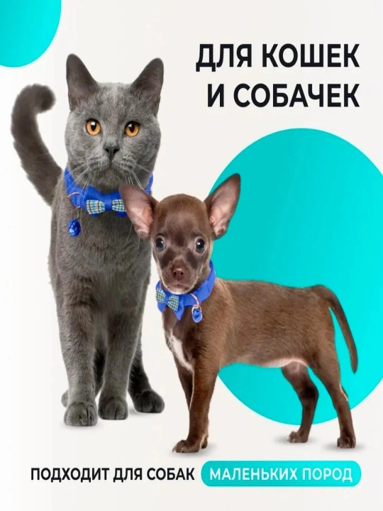 Ошейник-бабочка для домашних кошек и собак с колокольчиками