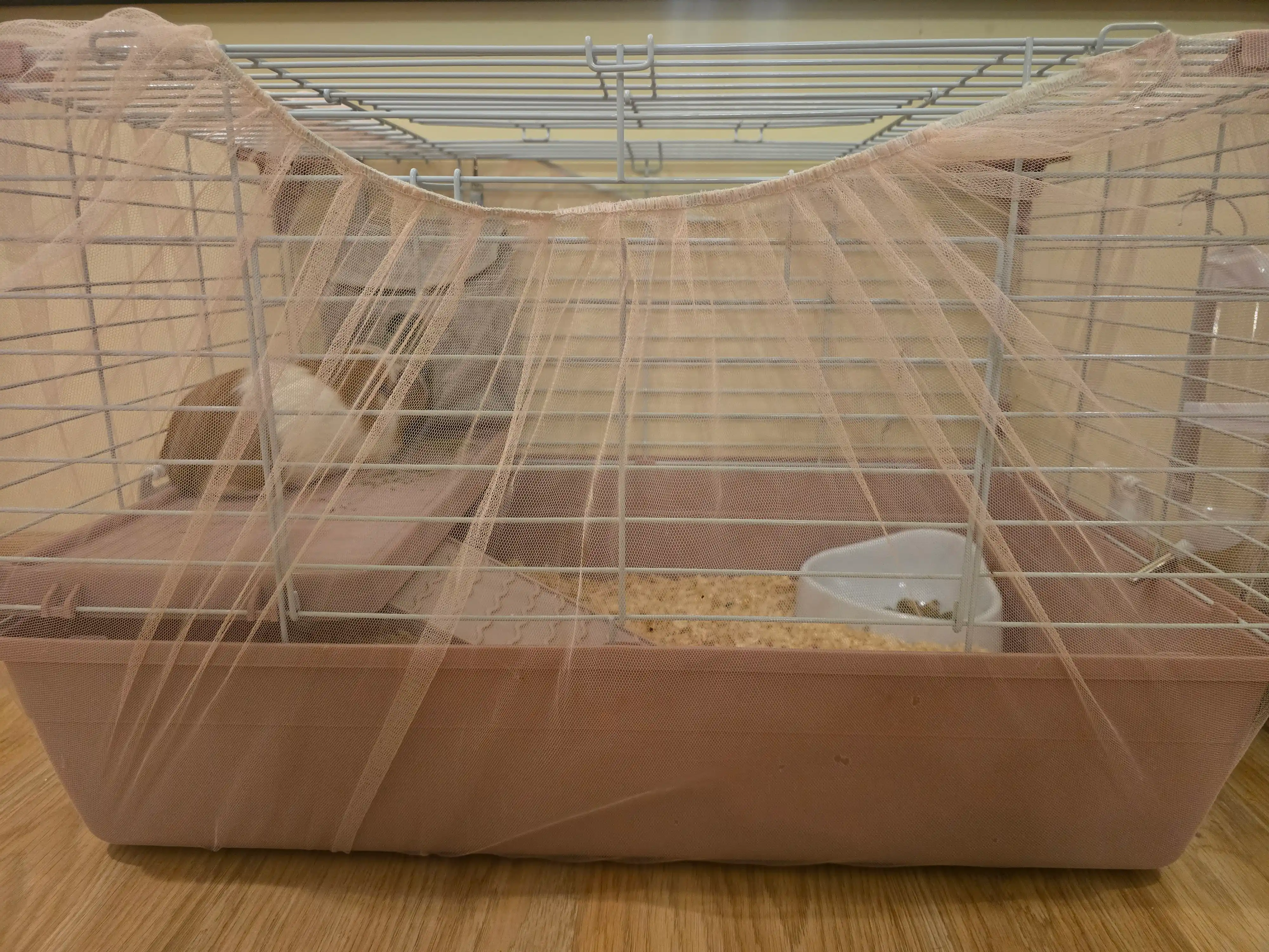 Golden cage R2-1t kemiruvchilar qafasi ikki qavatli, 69 x 45 x 43 sm