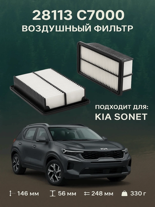 Воздушный фильтр 28113 C7000 Kia Sonet