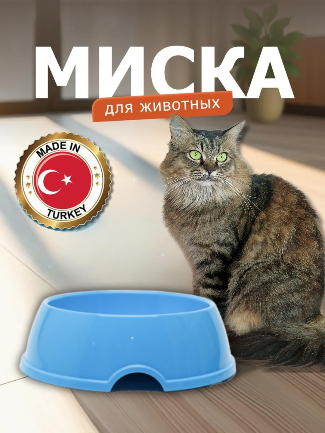 Yosh qizlarning erotik fotosuratlari