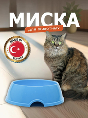 Xolalar, kaltaklar, fohishalar, jinsiy porno