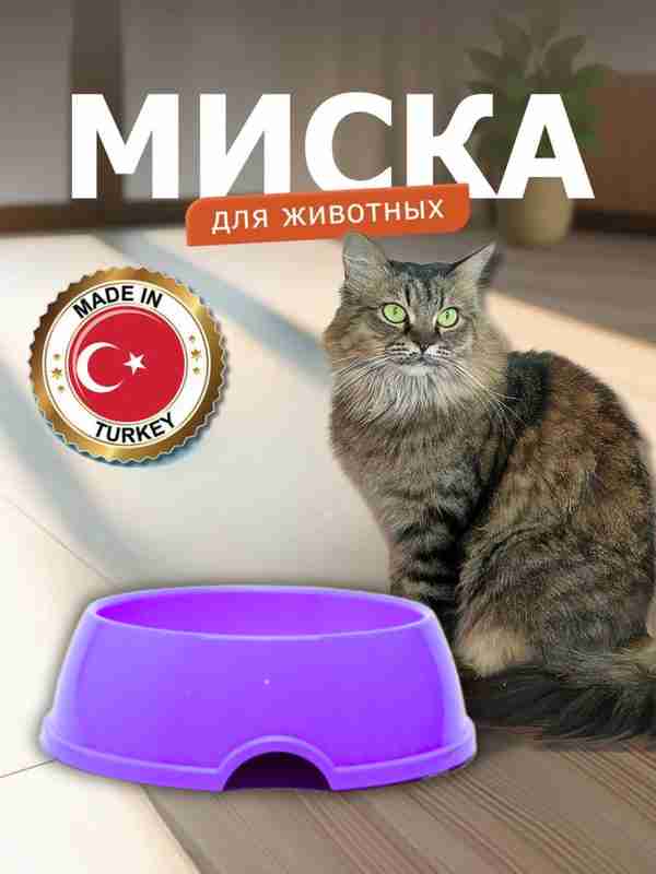 Belarusiyada BDSM bilan tanishish