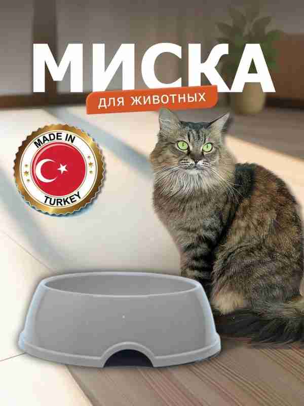 Ozining külotsiz leggingsdagi fotosuratlari