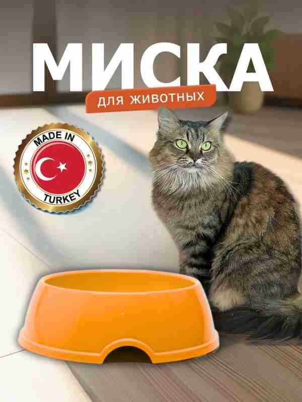 Videoda erkak ginekolog ayolni tekshirmoqda.