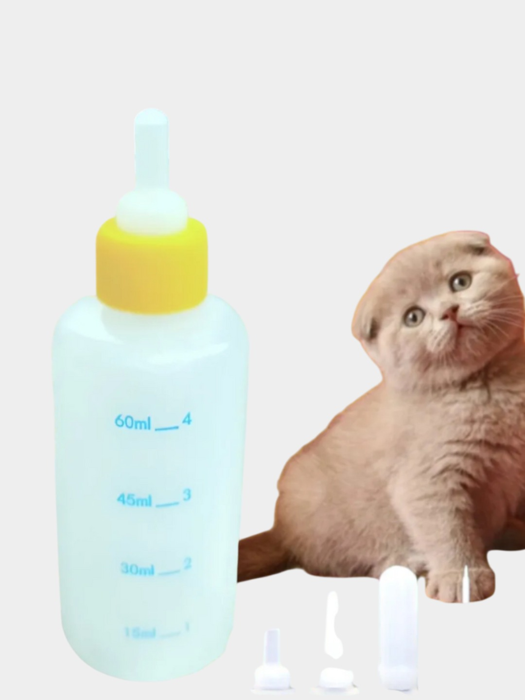 Men transvestitga homiylik qilaman.