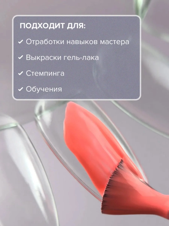 Oval palitralar to'plami "Romashka", 20 ta tips bilan 10 dona