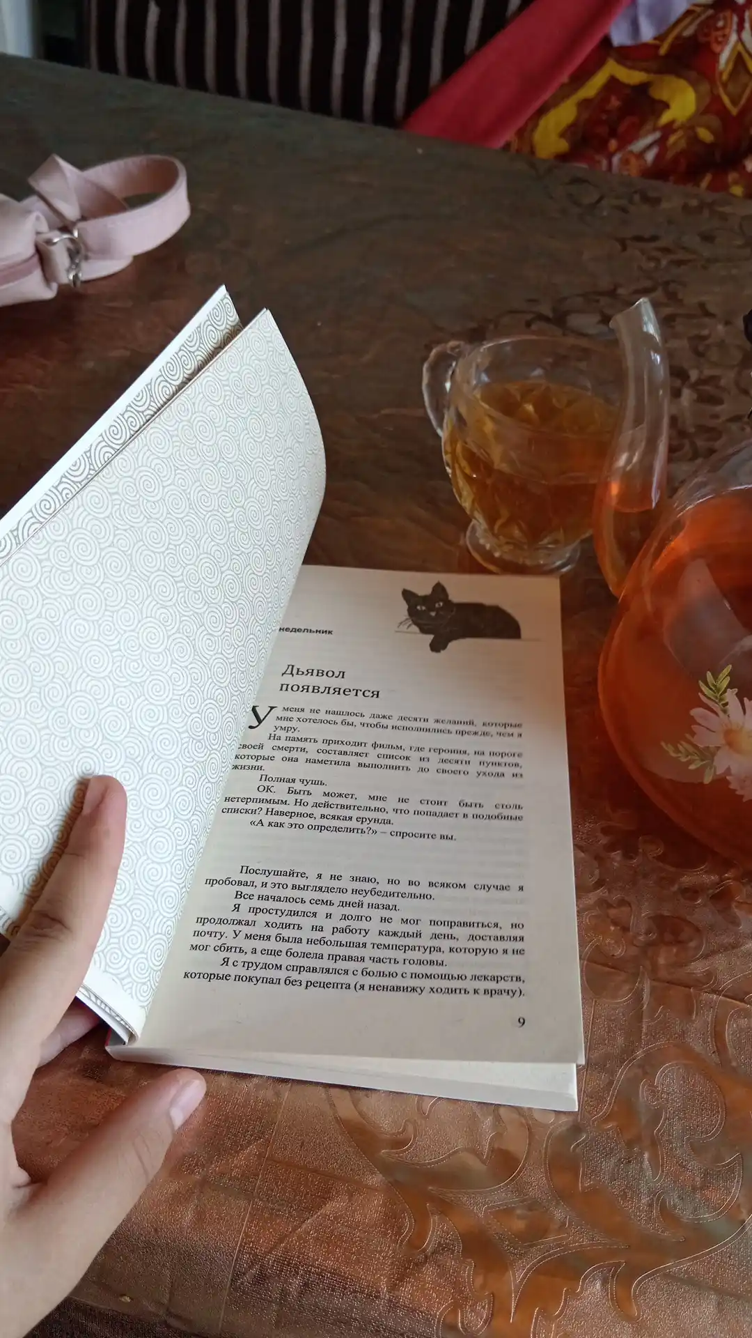 Если все кошки в мире исчезнут, Гэнки Кавамура