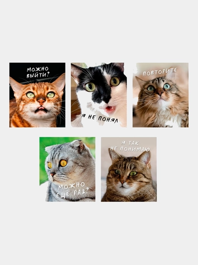 Тетрадь, А5, 96 листов, клетка, Котики, 5 штук — GORFAM-GRH3538