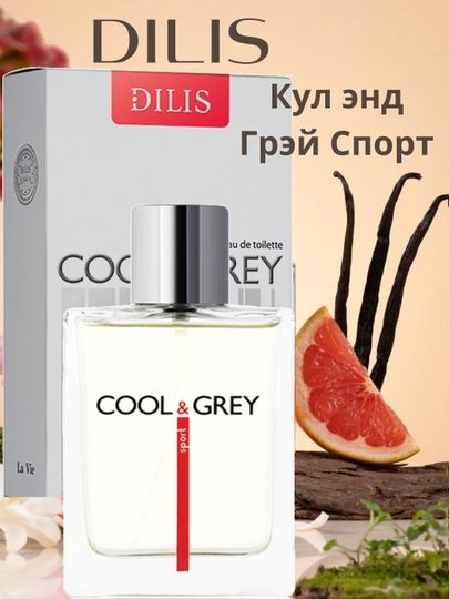 DILIS Cool & Grey sport, для мужчин, 100 мл - 