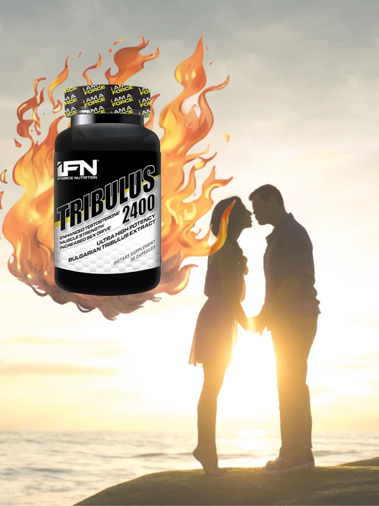 IFN TRIBULUS 2400 mg 90 caps тестостерон бустер
