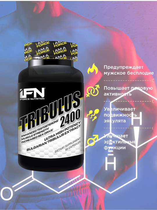 IFN TRIBULUS 2400 mg 90 caps тестостерон бустер