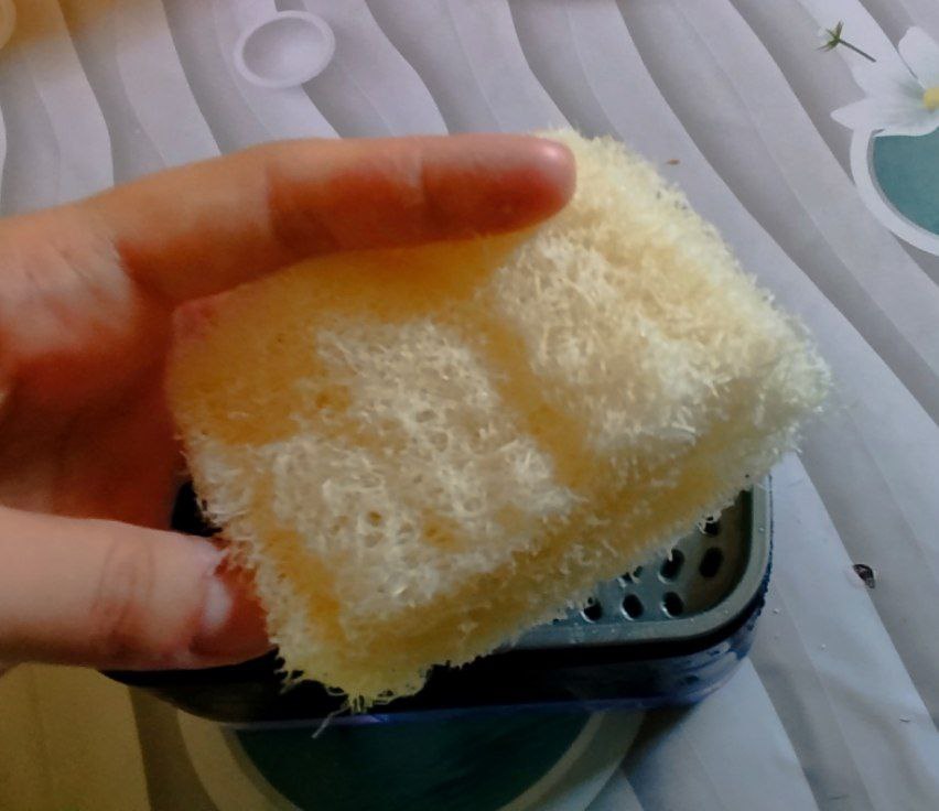 Tabiiy mochalka lyufdan (Luffa)