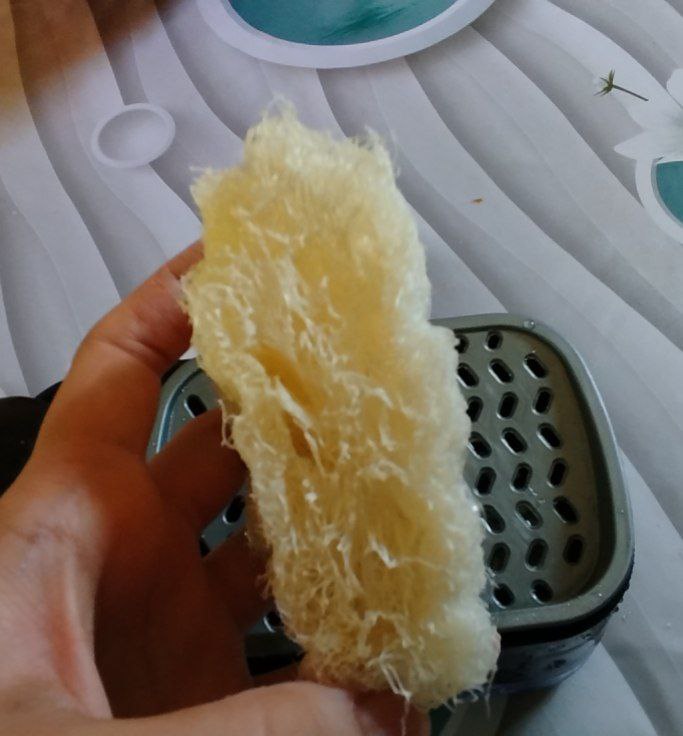 Tabiiy mochalka lyufdan (Luffa)