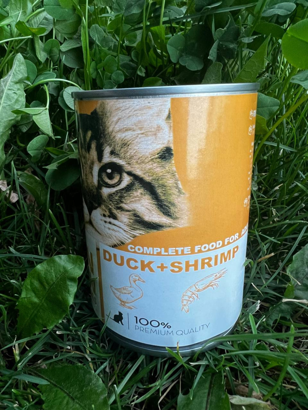 Porno xotini eriga jinsiy aloqa qilish uchun kattalar qiz dostini olib keladi Porno aktrisa Veronika Vanoza anal