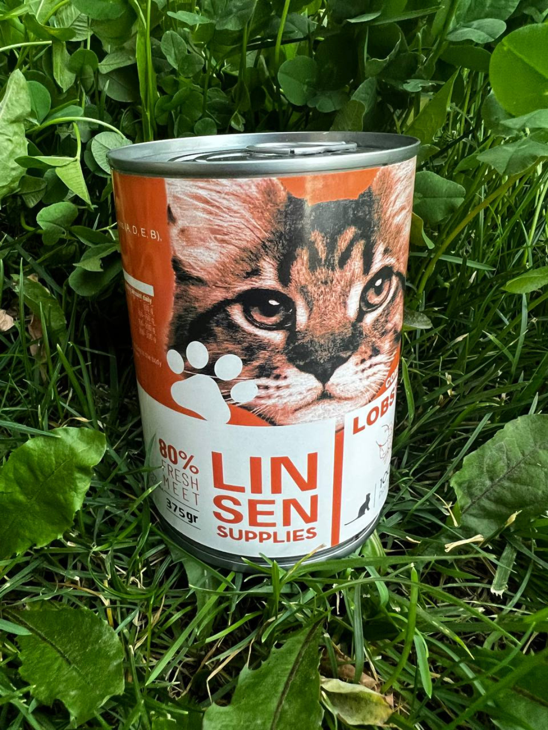 Orqadan qollar orqada porno Buzoq mening qolimni soradi