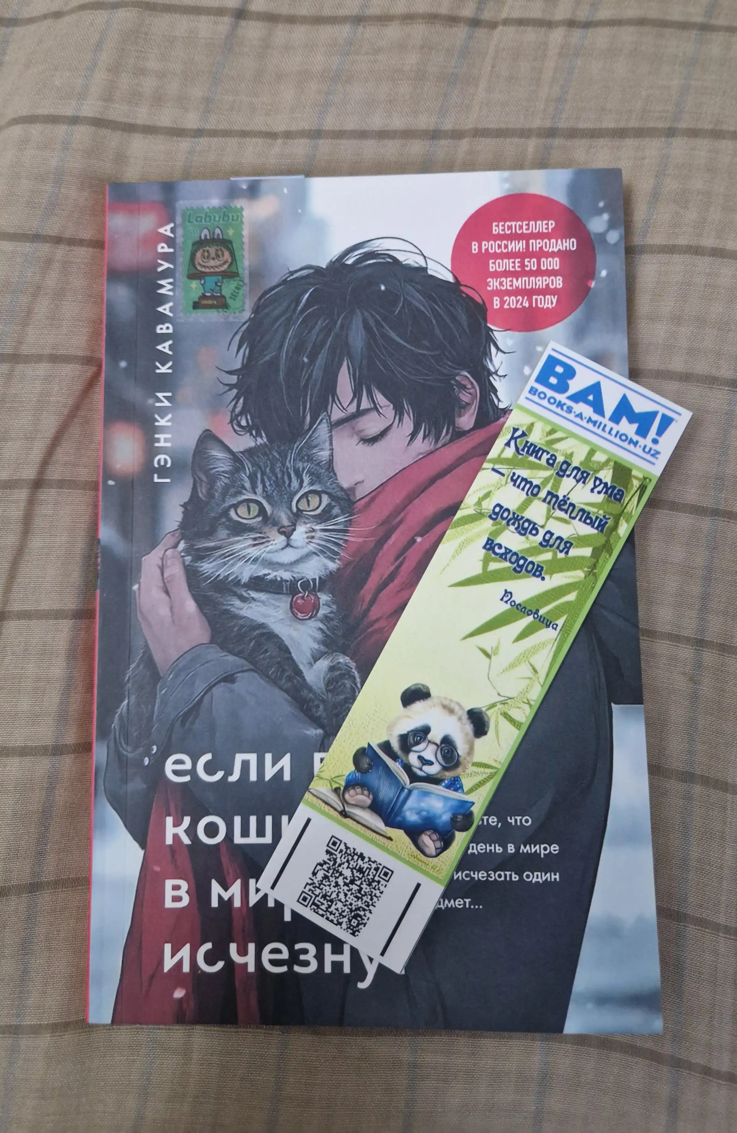 Если все кошки в мире исчезнут, Гэнки Кавамура