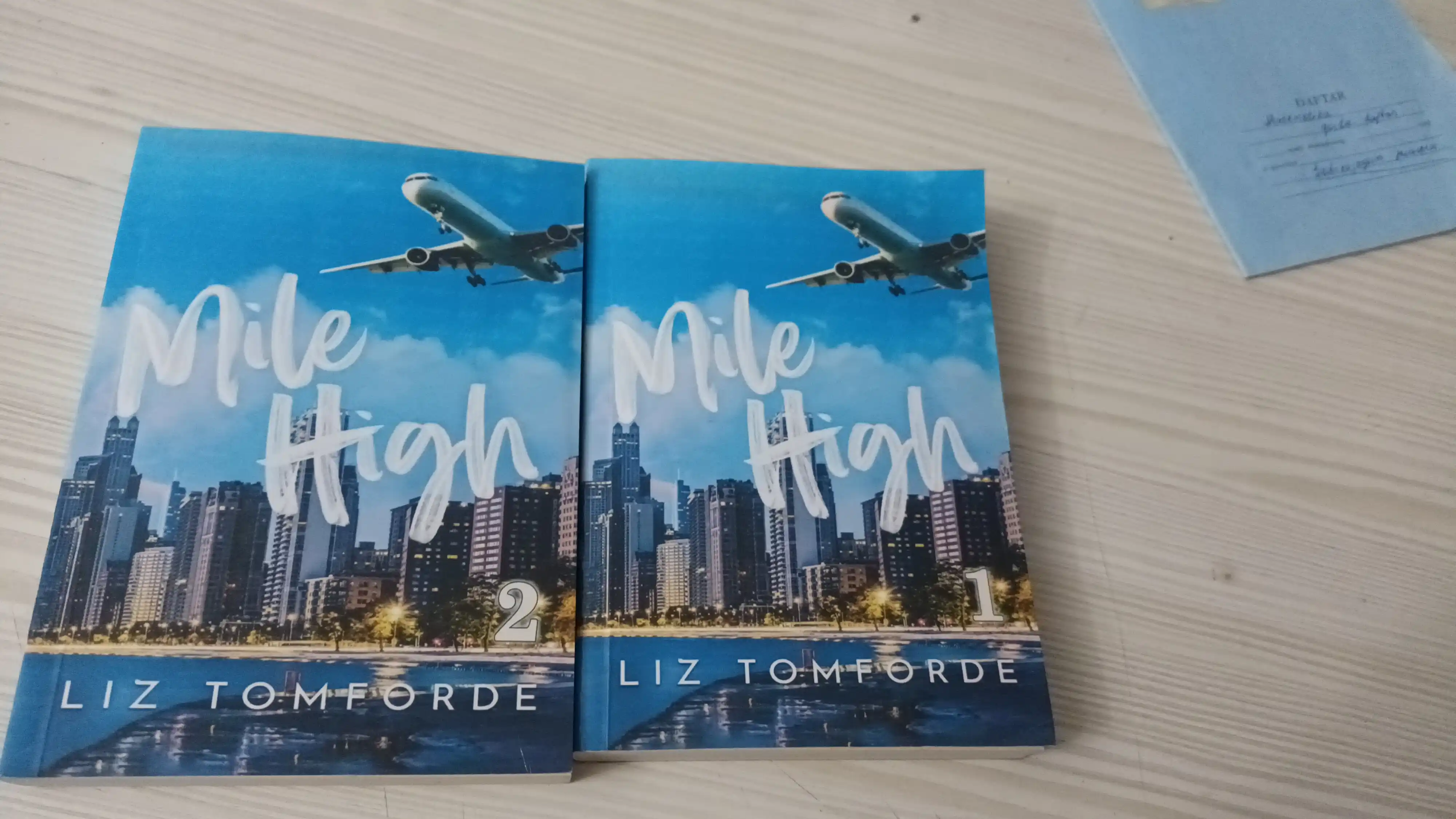 Yerdan bir mil balandlikda Kitob, Liz Tomford
