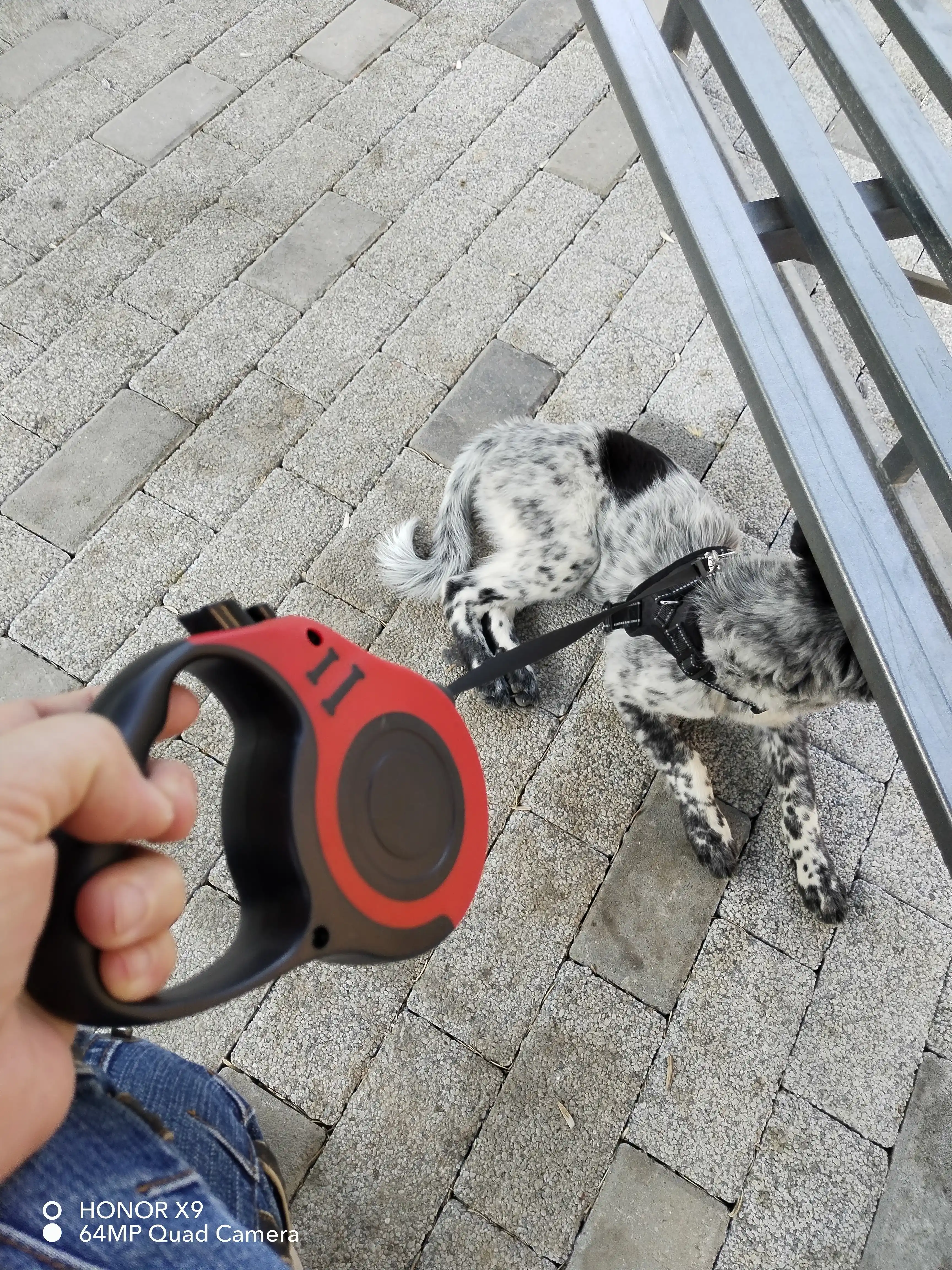 Itlar va mushuklar uchun tasma, 15 kg gacha bo'lgan kichik va kattalarning vaznini ushlab turadi, 5 metr lenta o'lchovi