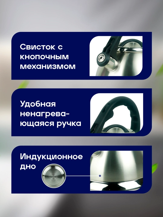 Чайник со свистком для газовой и индукционной плиты, 3.2 л