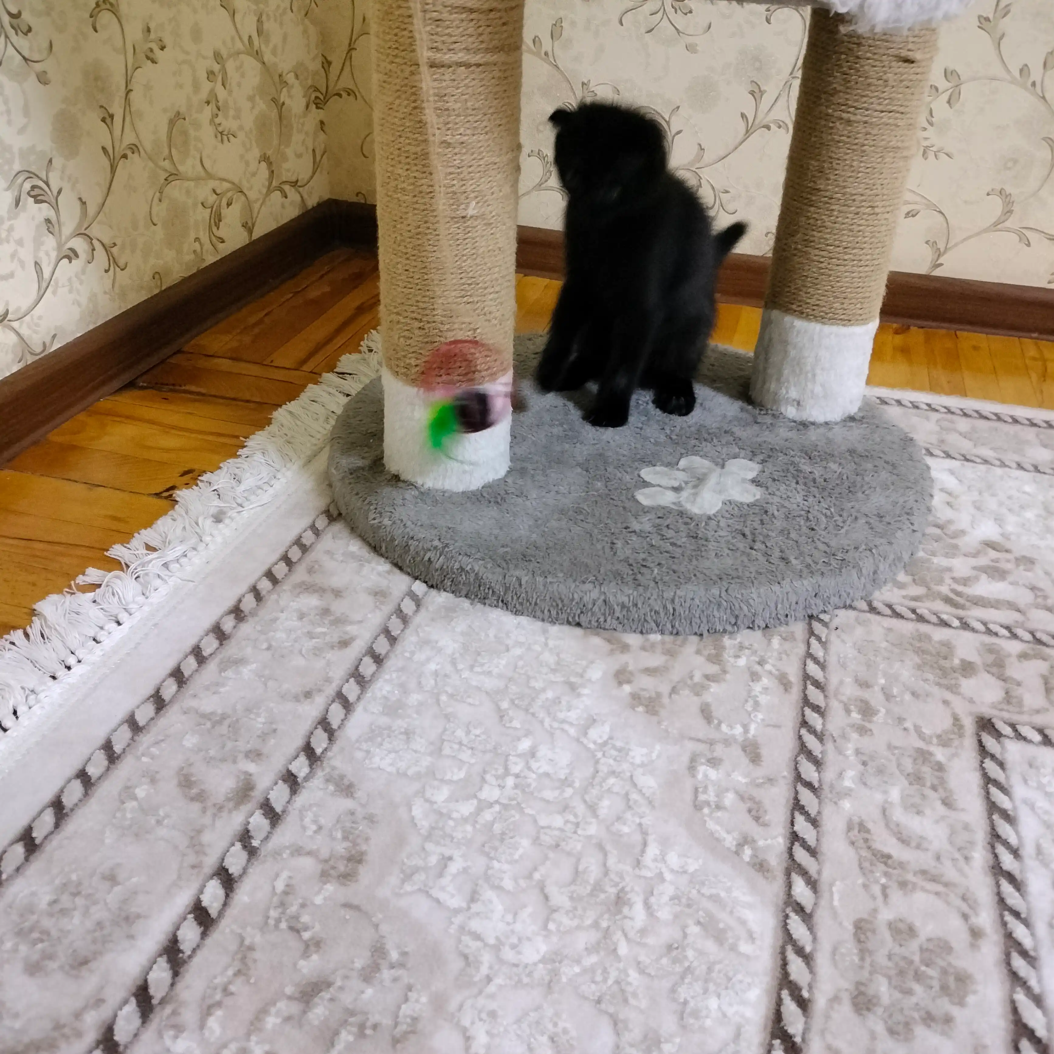 Игрушка для кошек