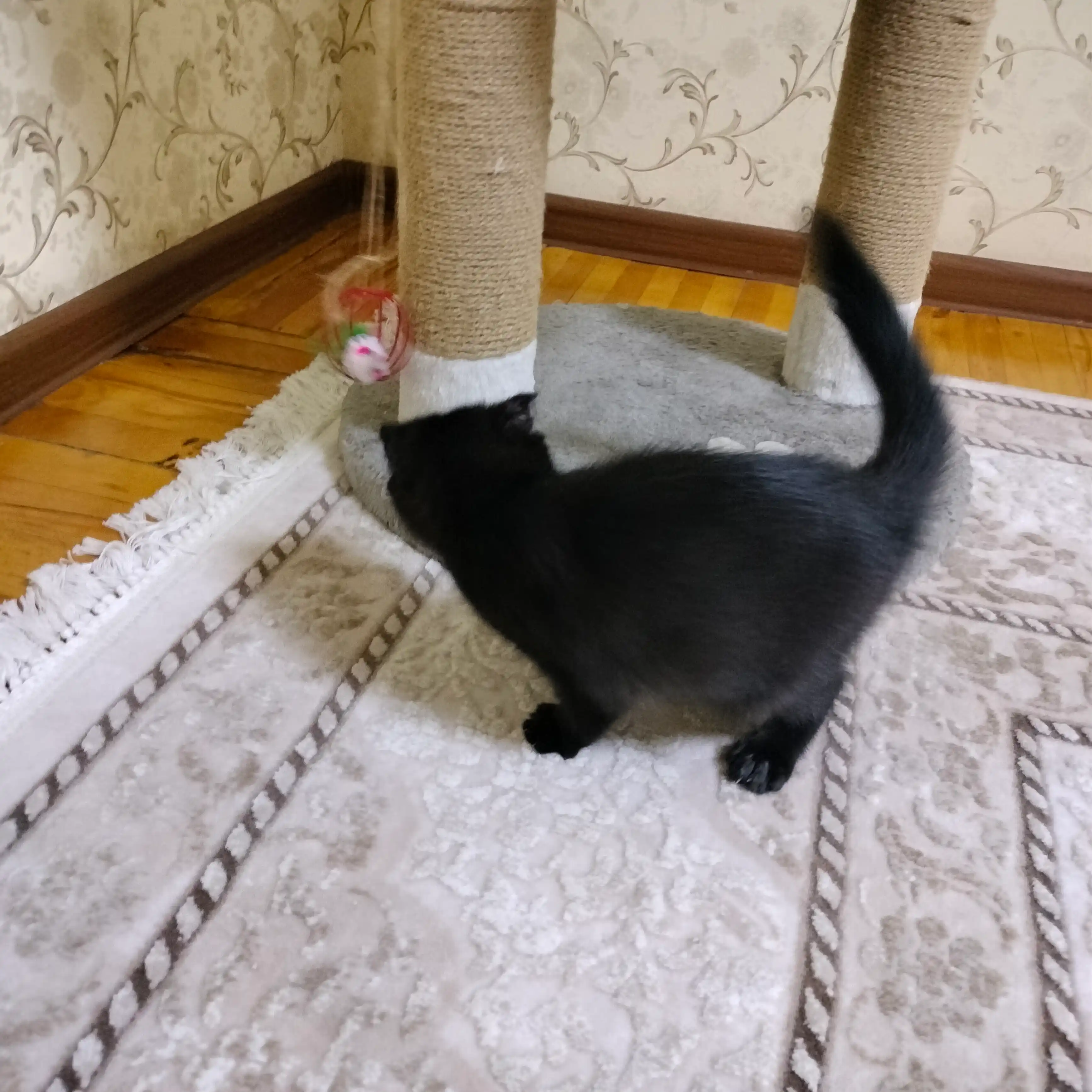 Игрушка для кошек