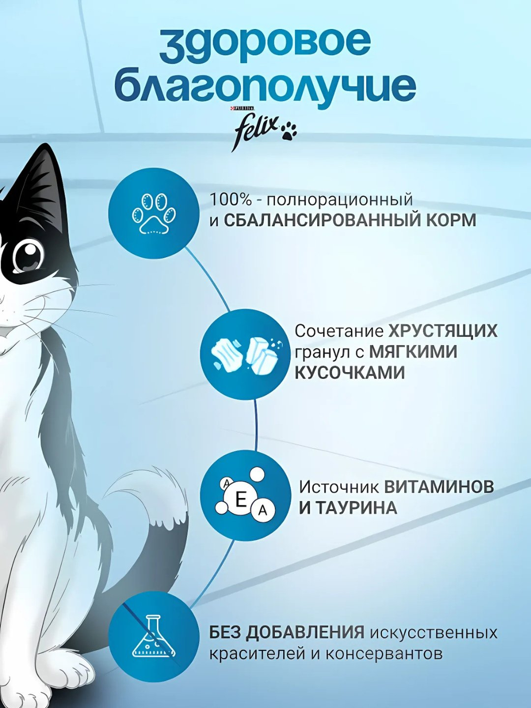 Anoreksiyadan aziyat chekkan qizlar eshakka urildi (video) Rus tilida haqiqiy ayol orgazmini royxatdan otmasdan tomosha qiling.