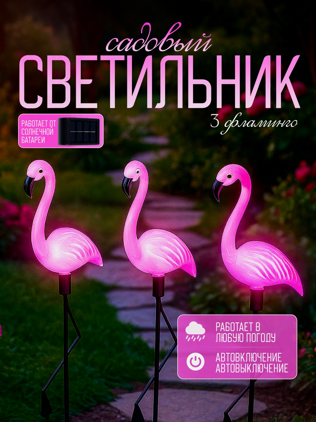 Favvora mushuk surati