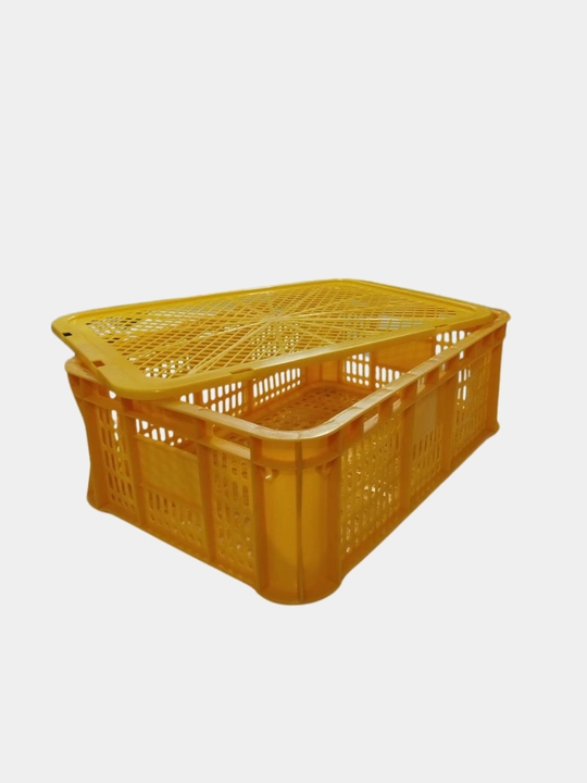 Universal plastik quti