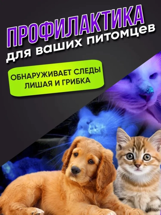 Ultrabinafsha chiroq - sizning beqiyos yordamchingiz
