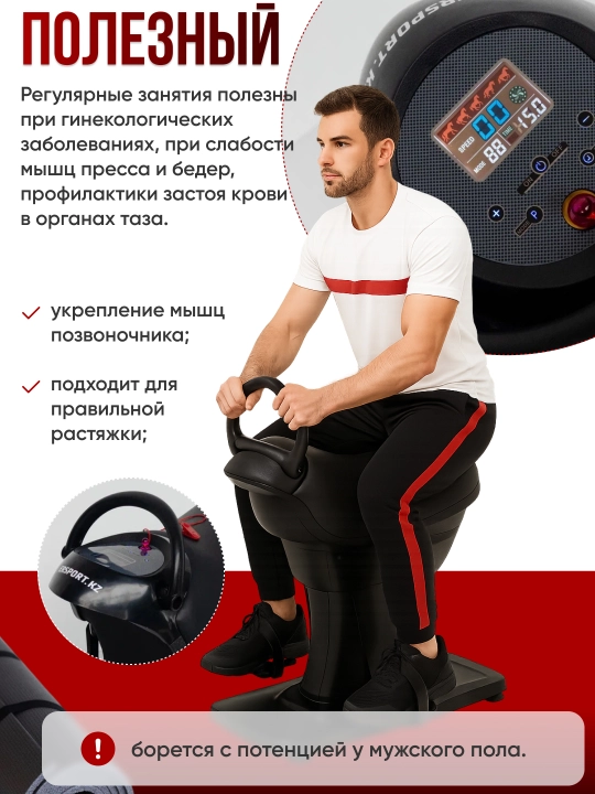 Иппотренажер ERTOQYM ERSPORT