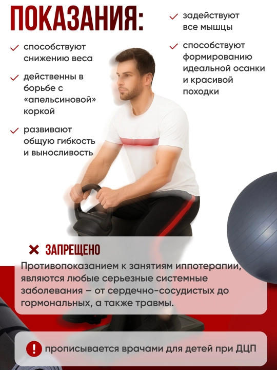 Иппотренажер ERTOQYM ERSPORT