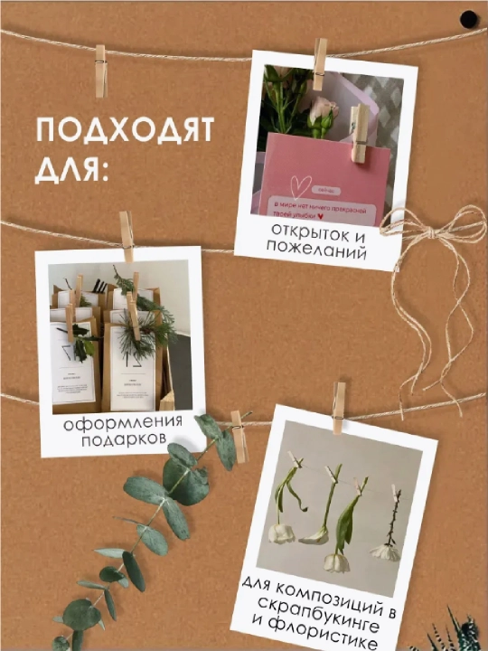 Прищепки декоративные деревянные для фото 20, 10 шт разноцветные, однотонные