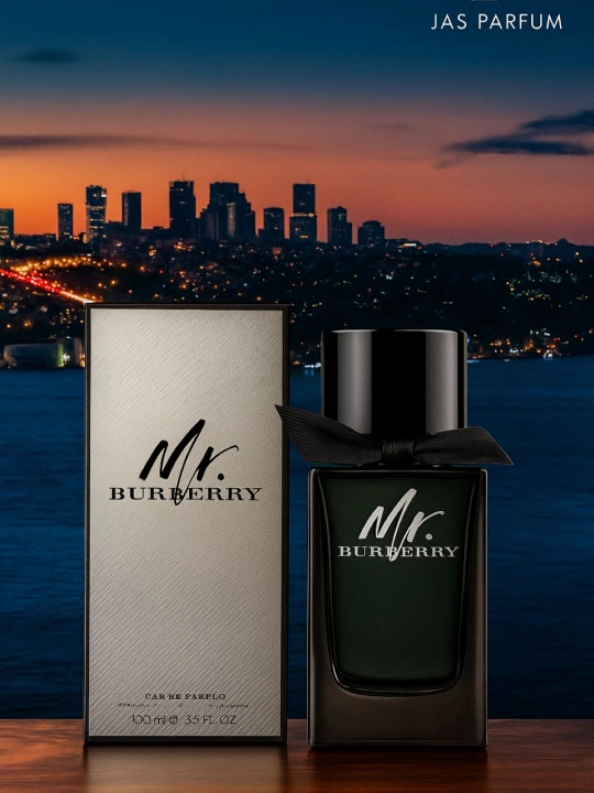 Erkakla uchun parfumlangan suv, MR.BURBERRY, 100 ml - 