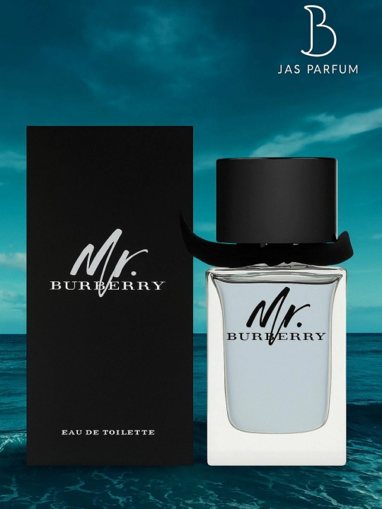 Xushbo'ylangna suv erkaklar uchun MR.BURBERRY, 100 ml - 