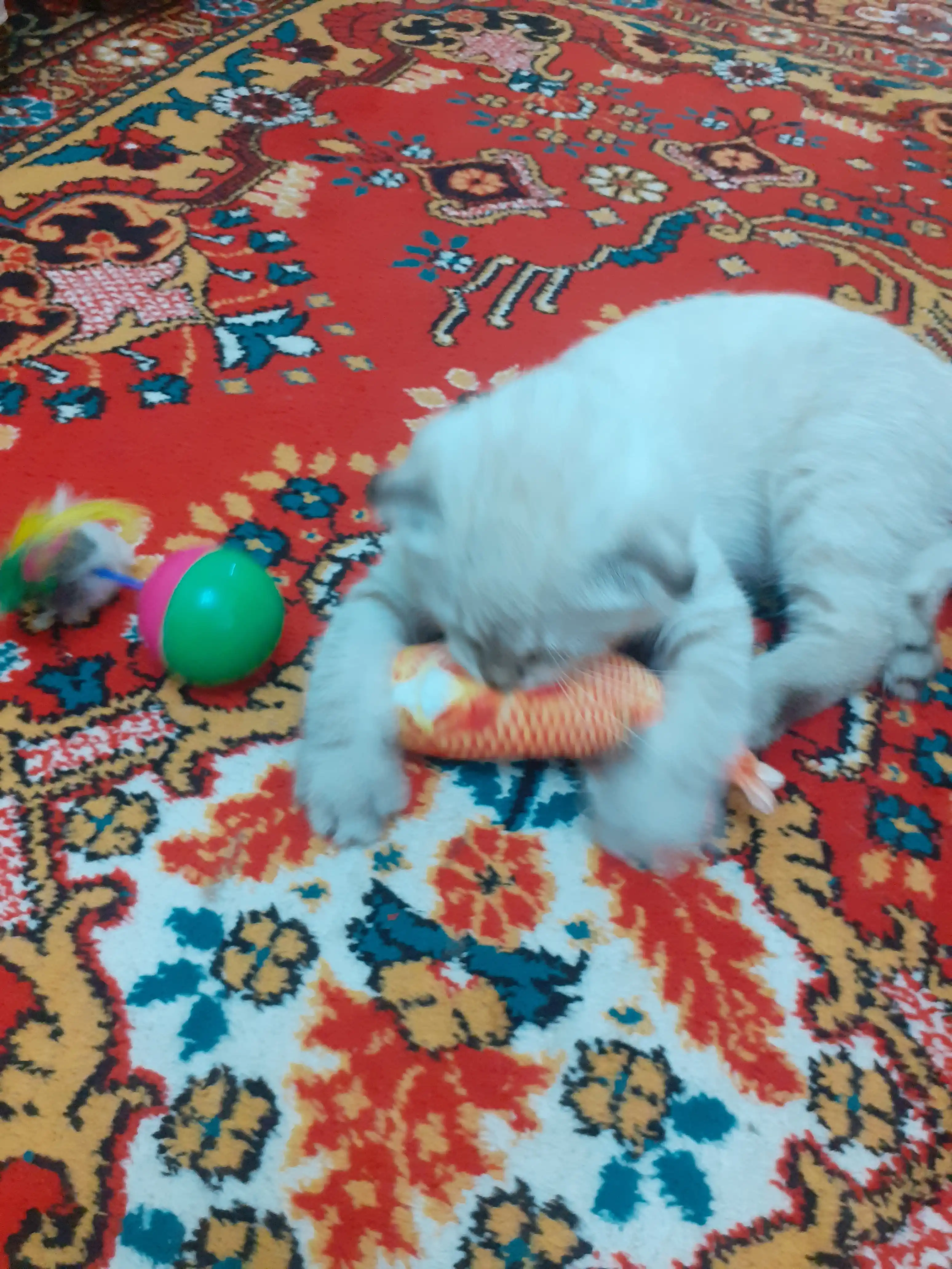 Игрушка для кошек неваляшка BOBRIKGORA, с мышкой и перьями, 12 см