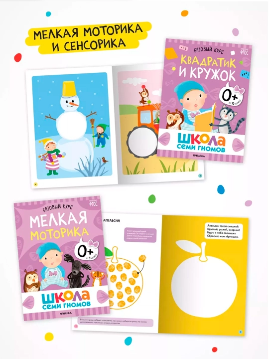 Школа Семи Гномов 0+. Базовый курс