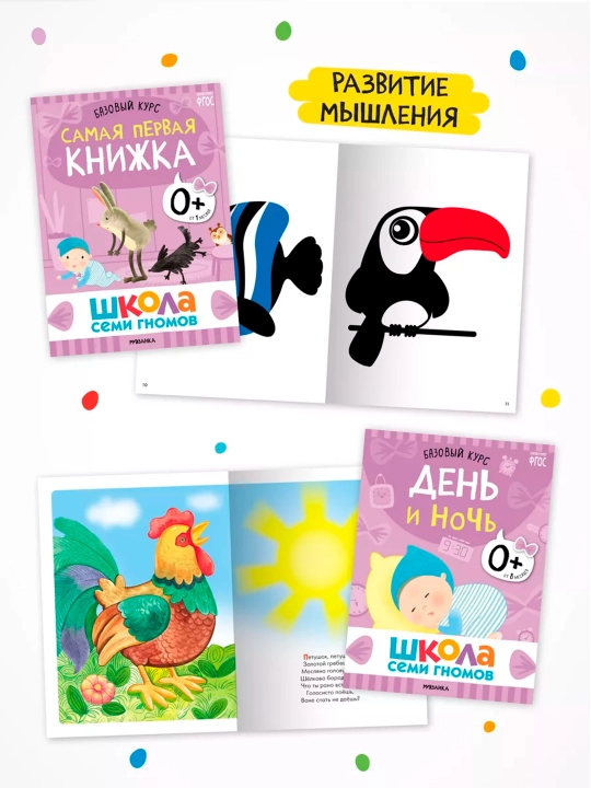 Школа Семи Гномов 0+. Базовый курс