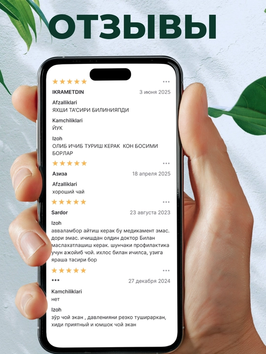 Зеленый чай Новатио, снижение артериального давления, 100 г