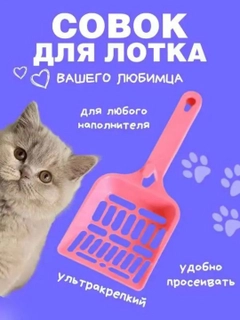 Конфетный