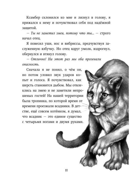 Deti lesa, Mest pumi, #4