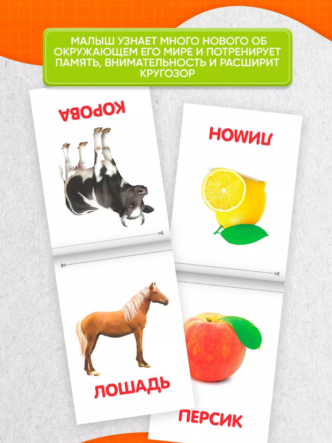 Набор из 8 развивающих и обучающих IQ карточек по методике Домана / Карточки Домана