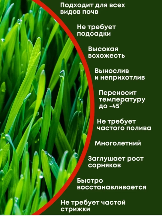 Газонная трава, Семена газона для спортивных площадок и активного отдыха, 500 г