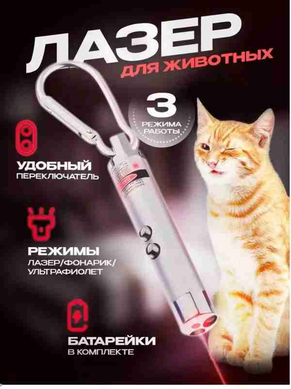 Juda hayajonli mushuk Juda hayajonli mushuk