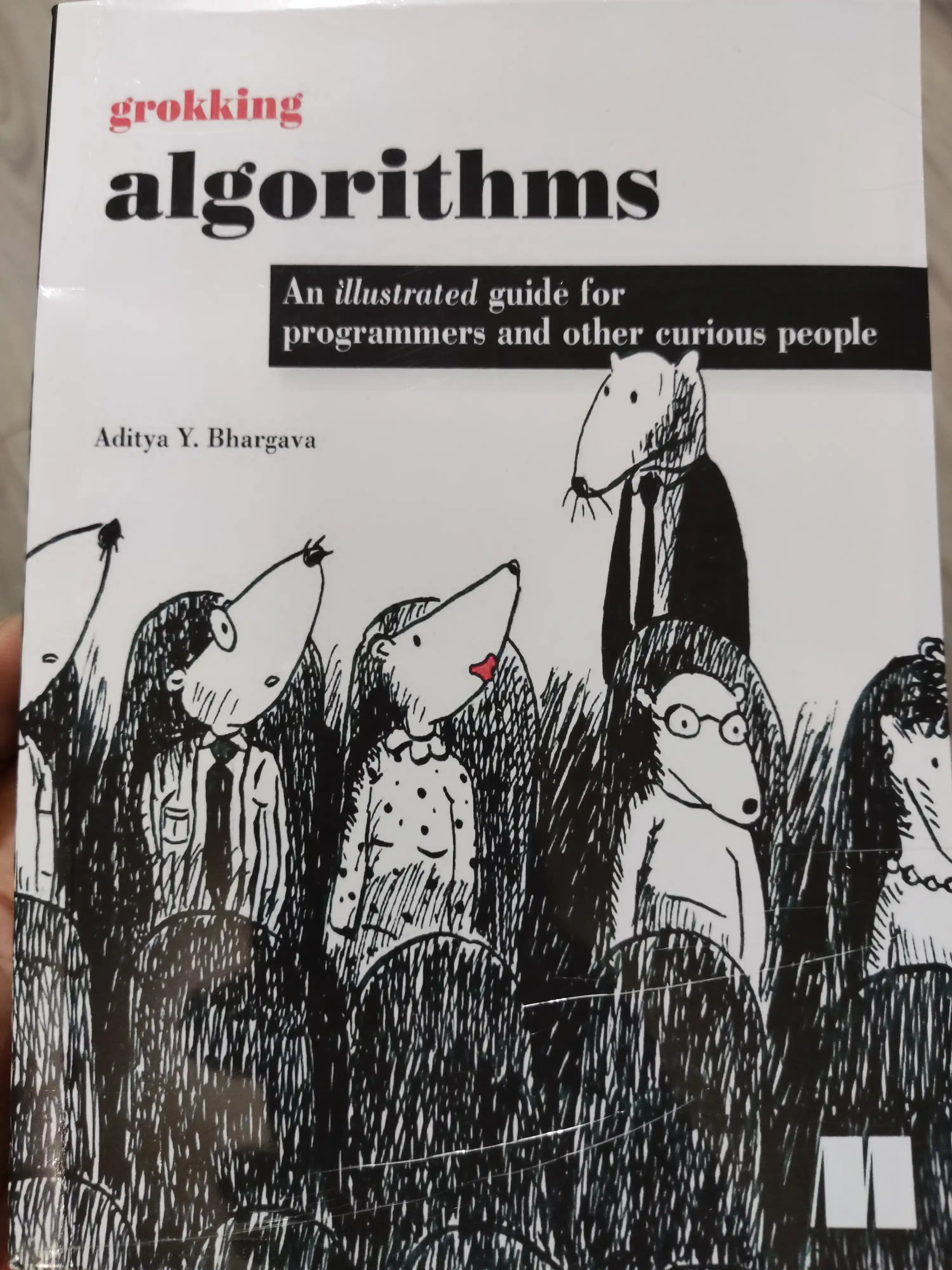 Grokayem algoritmy, Adit'ya Bkhargava, Programmirovaniye