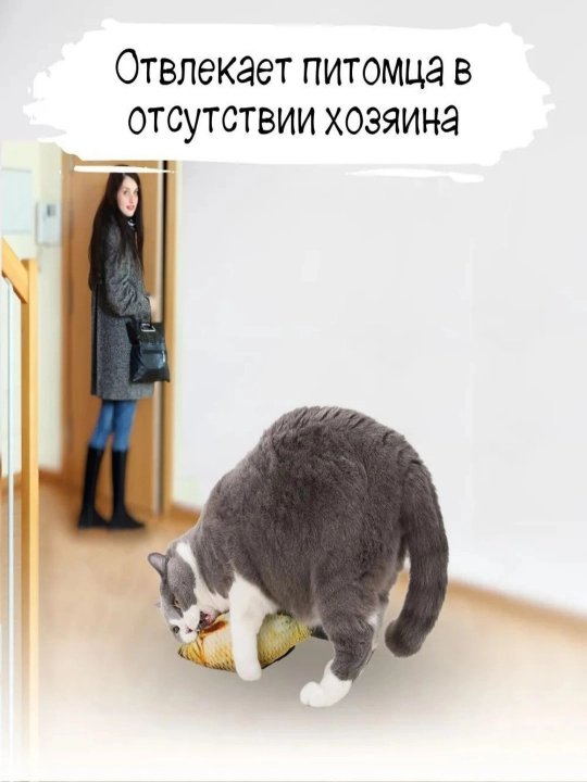 Рыбка-кошачья мята - игрушка для развлечения домашних кошек