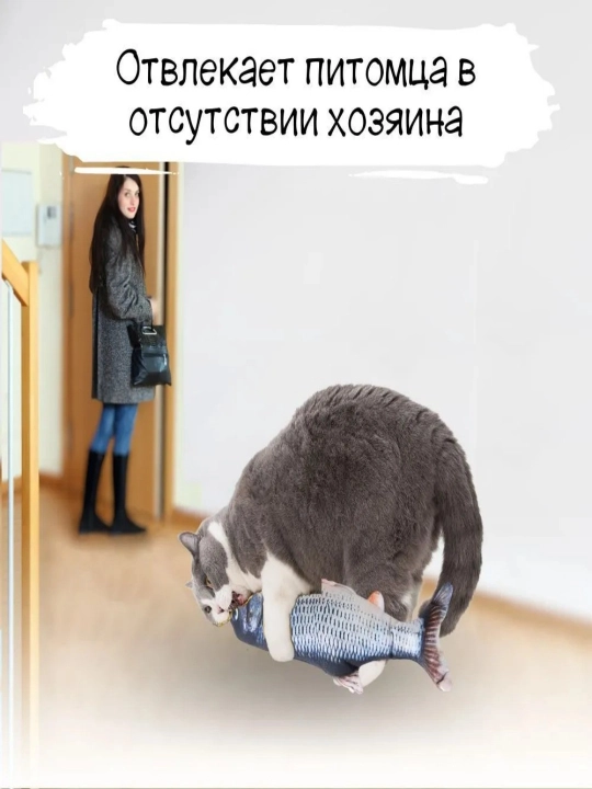 Рыбка-кошачья мята - игрушка для развлечения домашних кошек