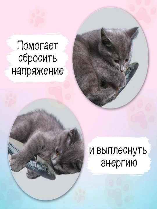 Рыбка-кошачья мята - игрушка для развлечения домашних кошек