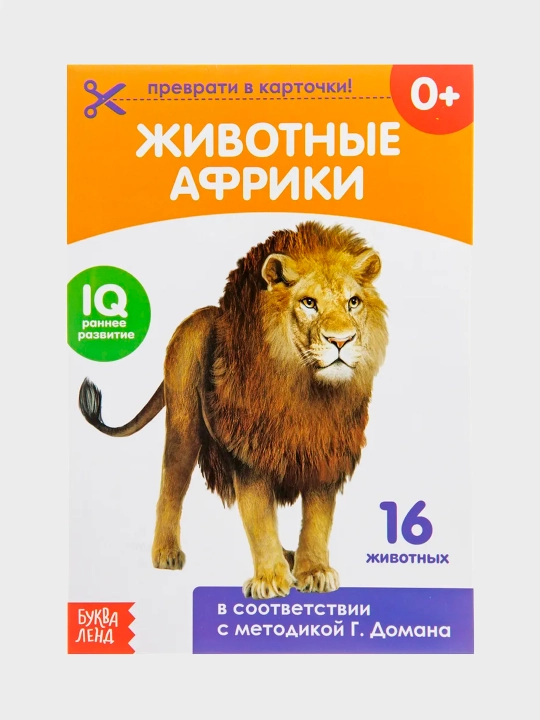 Обучающие карточки по методике Г. Домана - 
