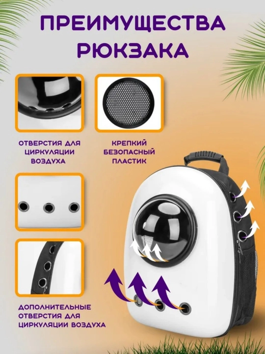 Mushuk va itlar uchun kosmik darchali sayohat ryukzagi