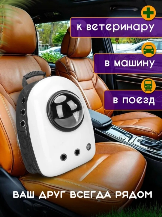 Mushuk va itlar uchun kosmik darchali sayohat ryukzagi